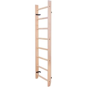 Gimnastikos sienelė Benchk 100