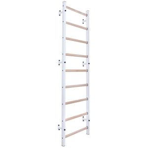 Medinė-metalinė gimnastikos sienelė Benchk 700W