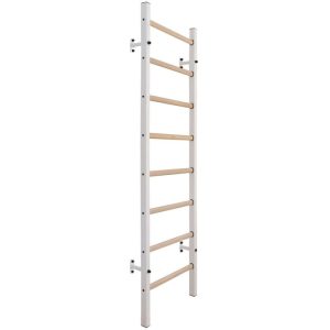 Medinė-metalinė gimnastikos sienelė su 4 rankenomis Benchk 200W