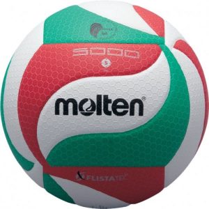 Tinklinio kamuolys Molten V5M5000